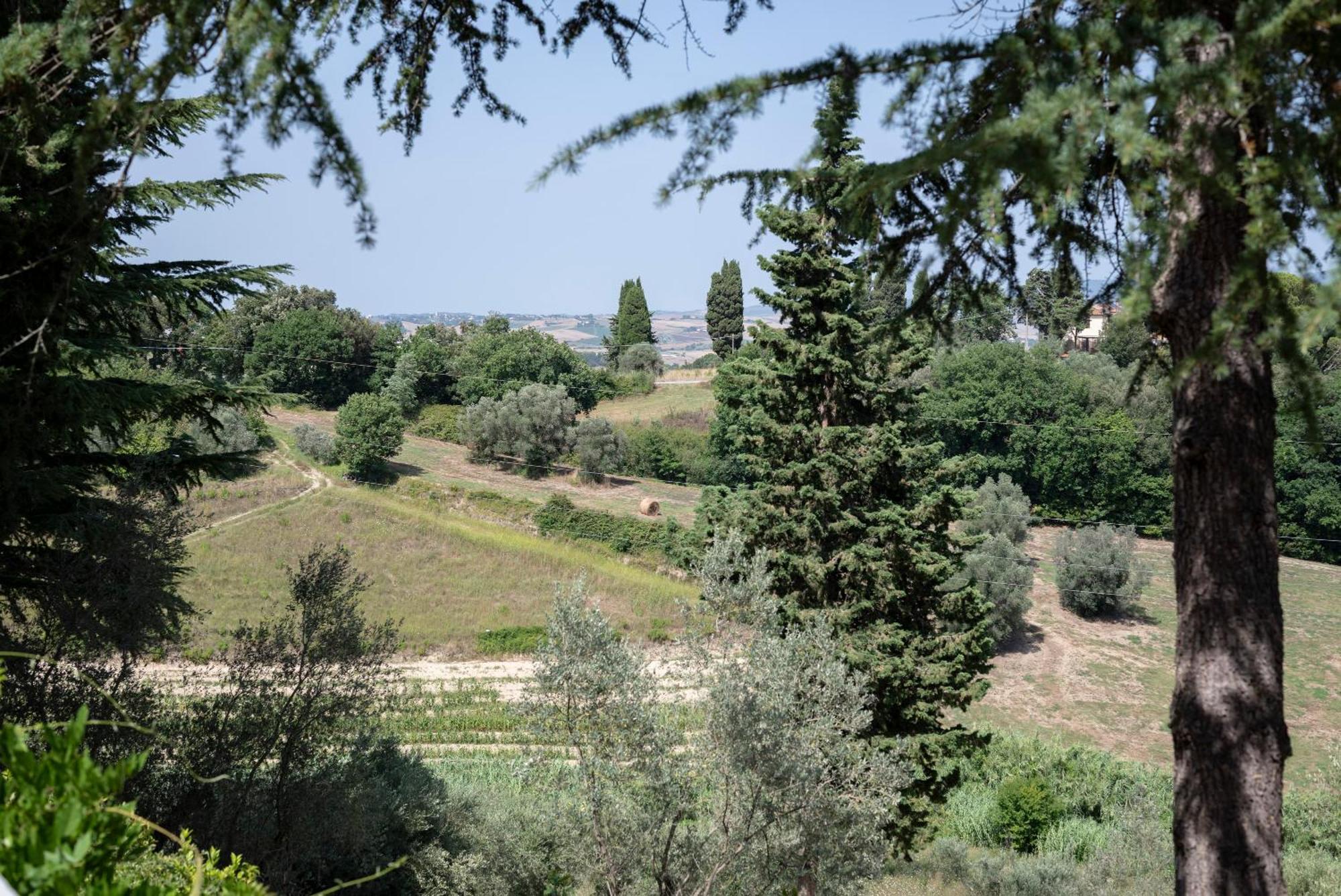 Terre Della Rinascita * Castelnuovo della Misericordia